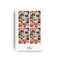 Rainbox Photoprint