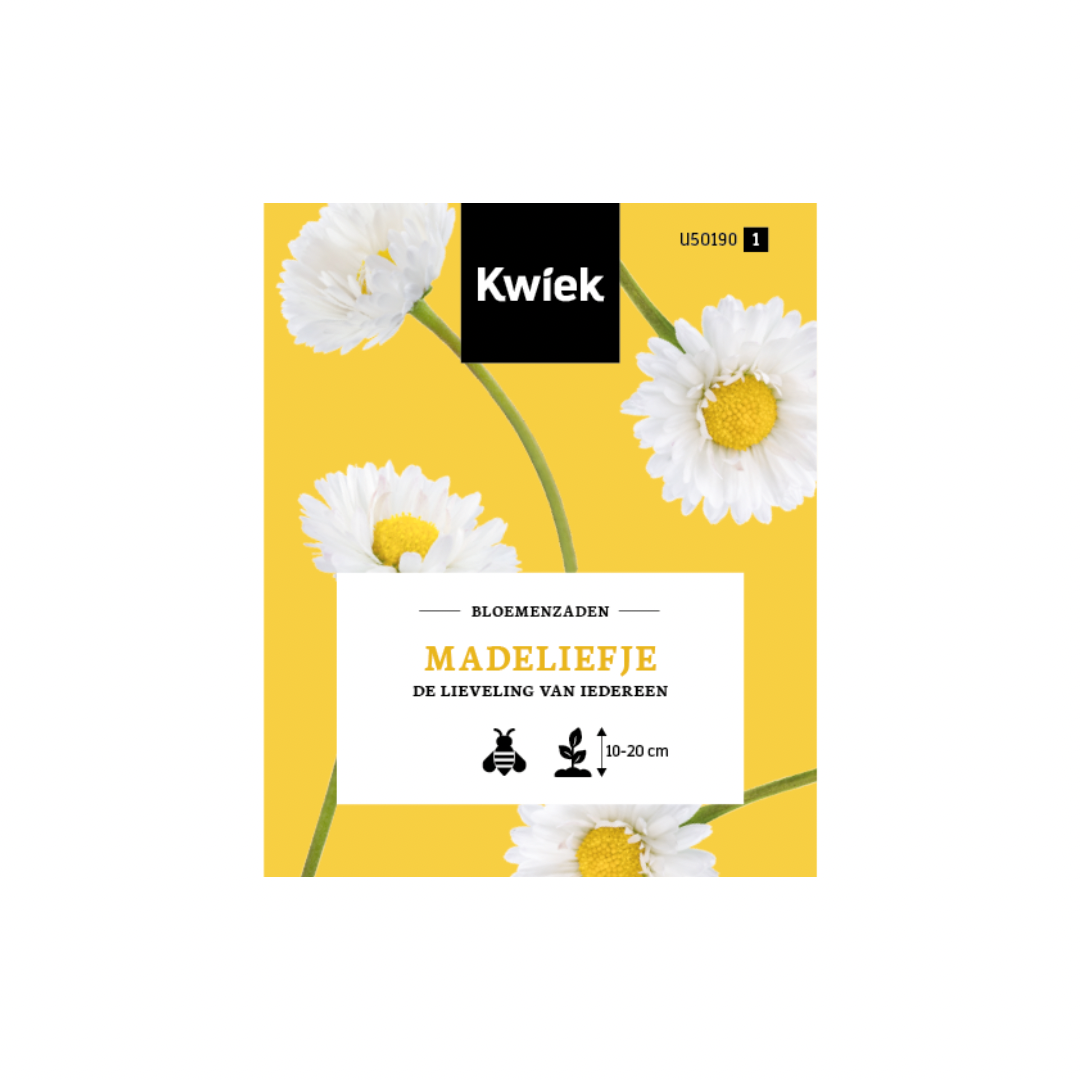Madeliefje - Bloemenzaden
